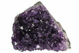Dark Purple, Amethyst Crystal Cluster - Uruguay #122095-1